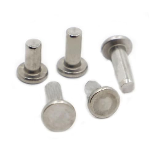 5 bis 50 Edelstahlnieten mit flachem Rundkopf, GB109, M2, M2,5, M3, M4, M5, M6, A2-70, starke selbststeckende Nieten (M2, 50 Stück, 3 mm) von jiuxinyun