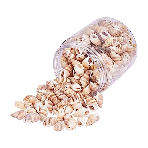 jojofuny 1 Schachtel Diy Natürliche Muscheln für Bastelprojekte Seashells als Dekoration für Kerzen Vasen und Strand Themenpartys für Aquarien und Tischdeko jojofuny 1 Schachtel Diy Natürliche Muscheln für Bastelprojekte Seashells als Dekoration für Kerzen Vasen und Strand Themenpartys für Aquarien und Tischdeko von jojofuny