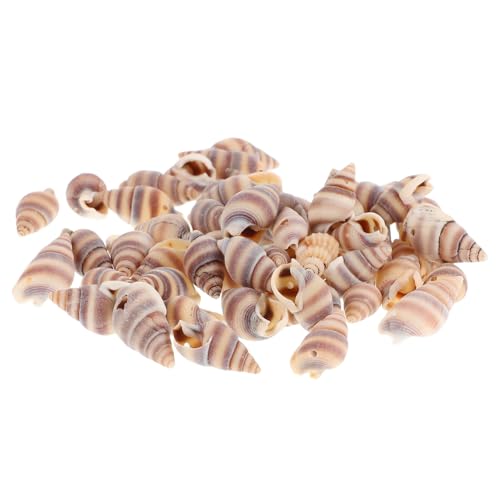 jojofuny 100 Stück Muschelanhänger Meereszauber Muscheln Küstenheimdekoration Schalen Für Das Handwerk Muschelschale Ozeanperlen Muscheldekor Strandanhänger Für Armbänder von jojofuny