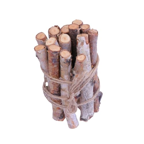 jojofuny 22 Stück Birkenstäbe in Rinde Foto Requisiten Selber Machen Wohnkultur Sticks Für Fotorequisiten Handgefertigtes Material Stöcke Für Vase Handwerk Stöcke Machen Diy-versorgung Holz jojofuny 22 Stück Birkenstäbe in Rinde Foto Requisiten Selber Machen Wohnkultur Sticks Für Fotorequisiten Handgefertigtes Material Stöcke Für Vase Handwerk Stöcke Machen Diy-versorgung Holz von jojofuny