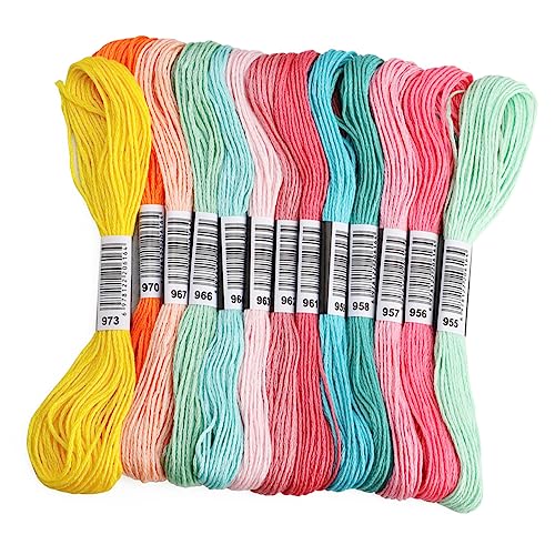 jojofuny 447 Stück Stickgarn Bunte Kreuzstichfäden für Kreative Handarbeiten Langlebig und Praktisch für Verschiedene Bastelprojekte jojofuny 447 Stück Stickgarn Bunte Kreuzstichfäden für Kreative Handarbeiten Langlebig und Praktisch für Verschiedene Bastelprojekte von jojofuny