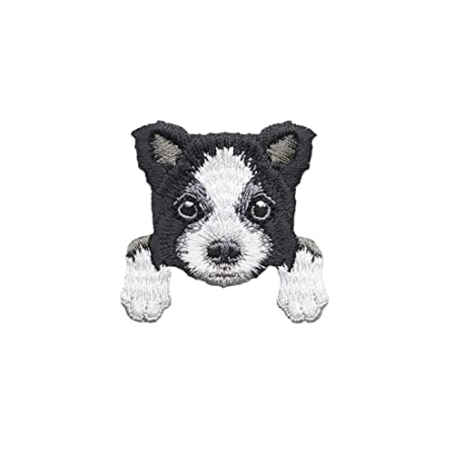 1 x niedlicher Chihuahua-Shiba-Hunde-Patch, Babykleidung, Rucksack-Dekoration, kleine Applikation, zum Aufbügeln, Stoffaufkleber, bestickt von joyxiwa