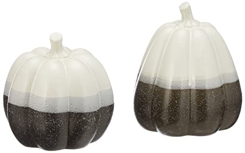 khevga Herbstdeko Kürbis 2er Set – Deko Kürbisse aus Keramik in Schwarz, Weiß & Grau – Stilvolle Tischdeko für Wohnzimmer, Fensterbank & Halloween von khevga