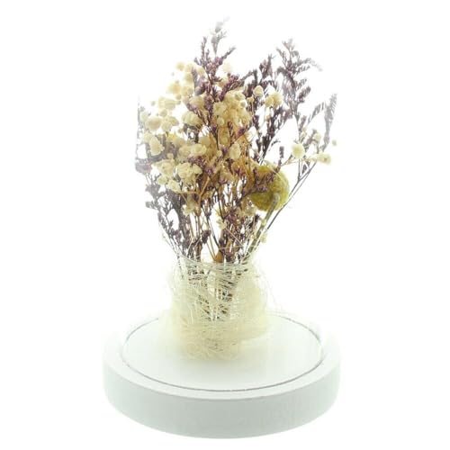 khevga LED Glocke mit Trockenblumen und LED Lichterkette batteriebetrieben 19 cm hoch khevga LED Glocke mit Trockenblumen und LED Lichterkette batteriebetrieben 19 cm hoch von khevga