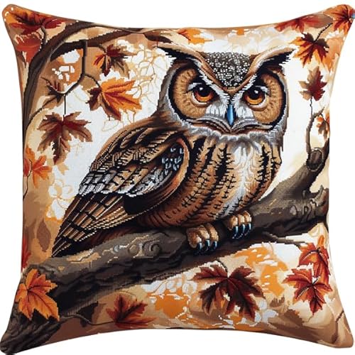 kitphoenix Knüpfen Set Kissen Eule Knüpfkissen Set für Anfänger Erwachsene oder Kinder zum Selber Knüpfen, DIY Knüpfteppich Knüpfpackung, Knüpfhaken Set 43 x 43 cm von kitphoenix