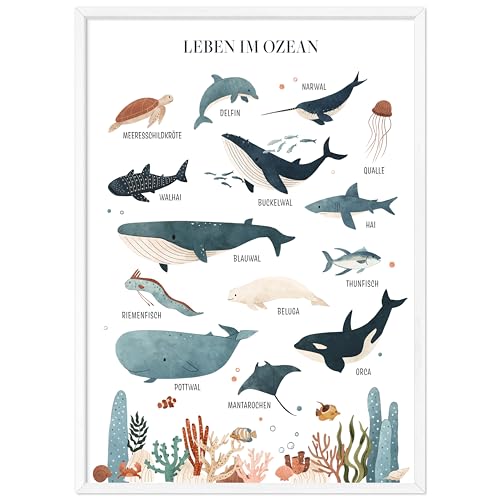kizibi® Unterwasserwelt Lernposter für Kinderzimmer - Detailliertes DIN A2 Poster des Meeres & Ozeans mit 14 illustrierten Meeresbewohnern - Perfekt für Bildung & Dekoration | mit Rahmen Weiß von kizibi