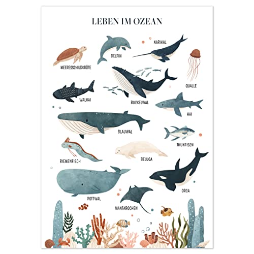 kizibi® Unterwasserwelt Lernposter für Kinderzimmer - Detailliertes DIN A2 Poster des Meeres & Ozeans mit 14 illustrierten Meeresbewohnern - Perfekt für Bildung & Dekoration von kizibi