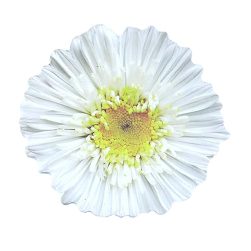 kokdid Haftnotizen in Blumenform, Haftnotizen, Haftnotizen, Notizblock, selbstklebende Tagebücher, Seite, Notizblöcke für Büro, Schule, 25 Blatt kokdid Haftnotizen in Blumenform, Haftnotizen, Haftnotizen, Notizblock, selbstklebende Tagebücher, Seite, Notizblöcke für Büro, Schule, 25 Blatt von kokdid