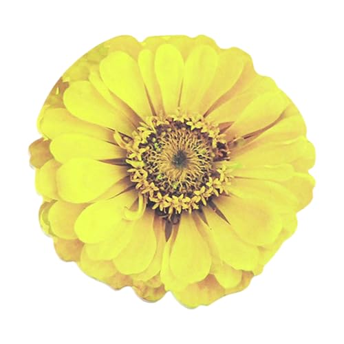 kokdid Haftnotizen in Blumenform, Haftnotizen, Haftnotizen, Notizblock, selbstklebende Tagebücher, Seite, Notizblöcke für Büro, Schule, 25 Blatt kokdid Haftnotizen in Blumenform, Haftnotizen, Haftnotizen, Notizblock, selbstklebende Tagebücher, Seite, Notizblöcke für Büro, Schule, 25 Blatt von kokdid