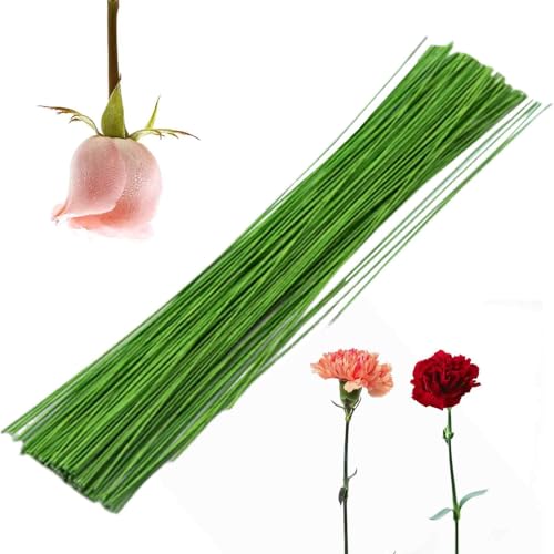 100 Stück Floristikdraht Grün, Floristendraht, Draht zum Basteln, Blumenstamm Draht, DIY Blumenstrauß Handarbeiten von lafomukea