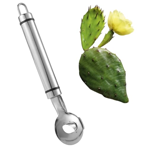 Kaktus Schäler, 19 x 4,8 cm Löffel Kaktus Schäler Kaktusschälmesser Nudelmesser Messer für Geschnittene Nudeln mit Loch mit Langem Griff zum Kochen von Kaktusnudeln in der Küche Kaktus Schäler, 19 x 4,8 cm Löffel Kaktus Schäler Kaktusschälmesser Nudelmesser Messer für Geschnittene Nudeln mit Loch mit Langem Griff zum Kochen von Kaktusnudeln in der Küche von lasuroa