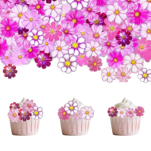 Tortendeko Blumen, 65 Stück Cupcake Deko, für Baby-Dusche, Braut-Dusche, Geburtstag, Party & Kuchen Dekorationen Tortendeko Blumen, 65 Stück Cupcake Deko, für Baby-Dusche, Braut-Dusche, Geburtstag, Party & Kuchen Dekorationen von leersao