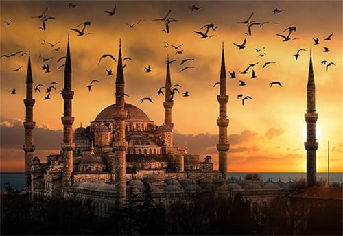 5D Diamond Painting Kits for Adults, Moschee Abenddämmerung DIY Square Diamant Painting Kits Full Drill Crystal Art für Embroidery Number Painting Kits Kinder, Erwachsene, Home Dekor 20x30cm W-1982 von lewwmn