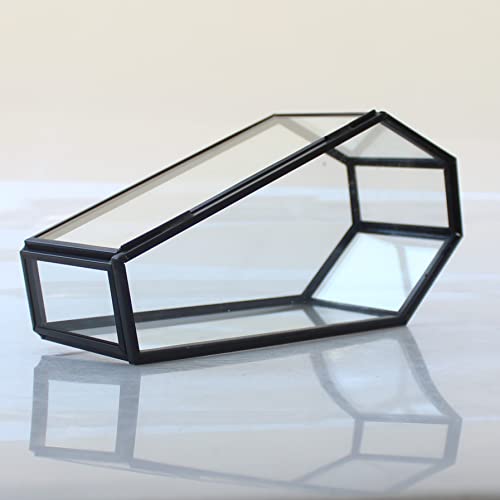 libproqia Kleine Sarg-Glas-Schmuckschatulle, schwarze Schmuckstücke, Glas, Sarg, Terrarium, Gothic, Halloween-Aufbewahrung, Vintage-Sarg, Vampir, Andenken, Organizer libproqia Kleine Sarg-Glas-Schmuckschatulle, schwarze Schmuckstücke, Glas, Sarg, Terrarium, Gothic, Halloween-Aufbewahrung, Vintage-Sarg, Vampir, Andenken, Organizer von libproqia