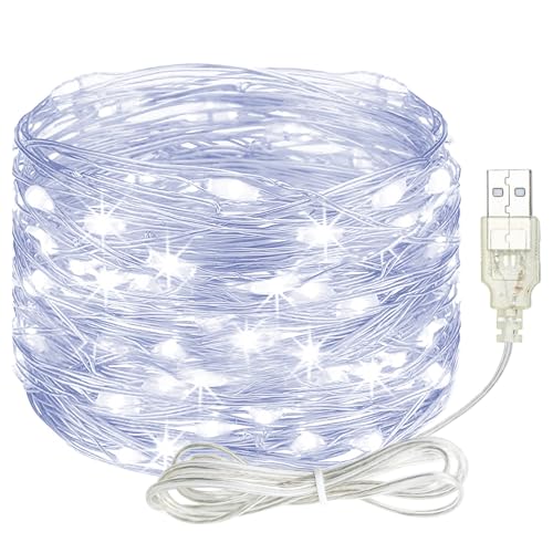 litogo Led Lichterkette mit USB, 5M 50LED Kupferdraht Lichterkette mit Stecker, Wasserdicht Weihnachten Lichterketten für Party, Garten, Hochzeit, Innen Außen Deko, Kaltweiß von litogo