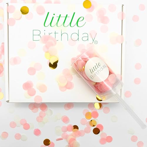 LITTLE BIRTHDAY | 4x wiederbefüllbare Konfetti Kanonen | Konfetti Push Pop | Popper | Konfetti Bombe | Geburtstag | Kindergeburtstag | Mitgebsel | rund 1,5cm von little Birthday