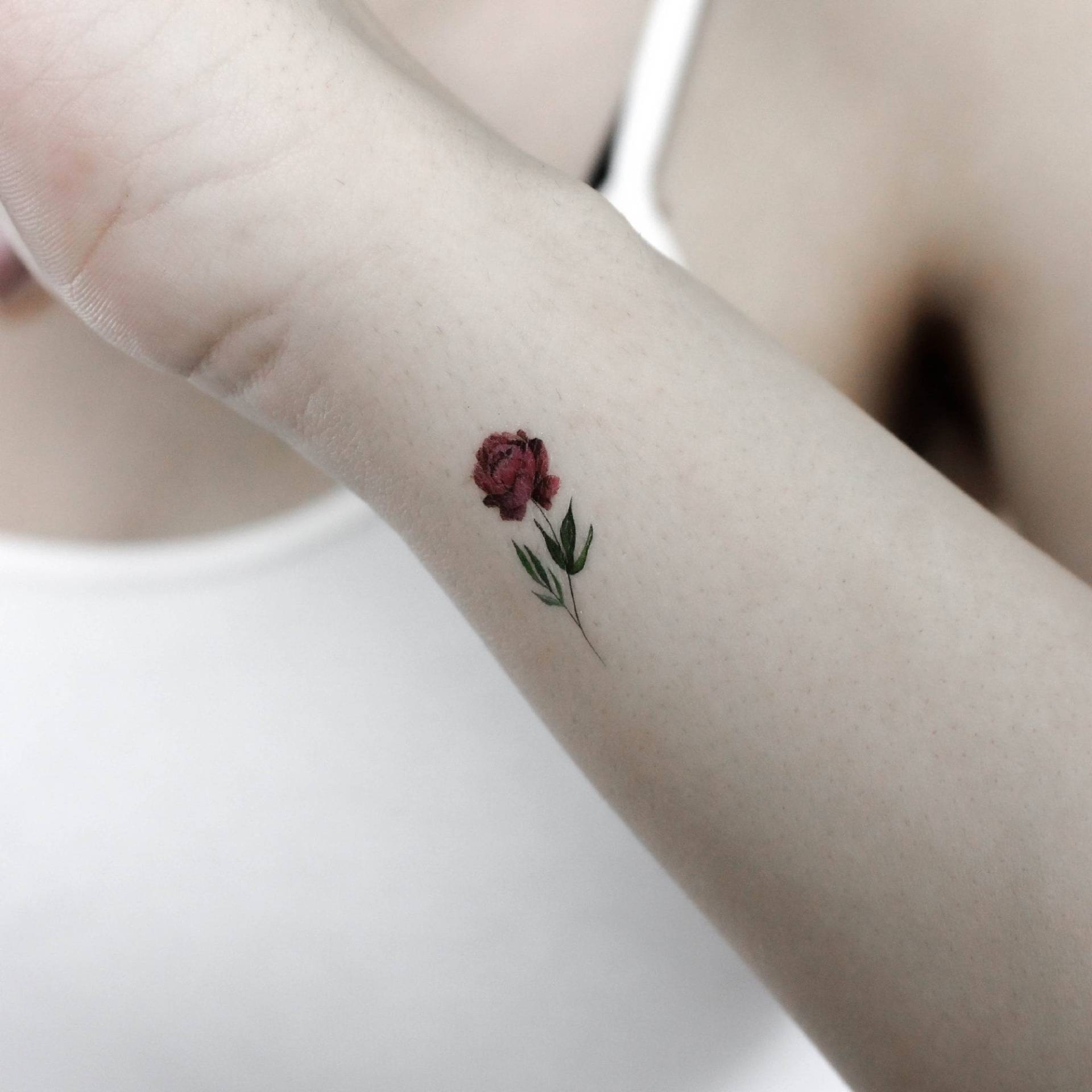 Kleine Aquarell Rosa Pfingstrose Temporäres Tattoo | 3Er Set von littletattoos