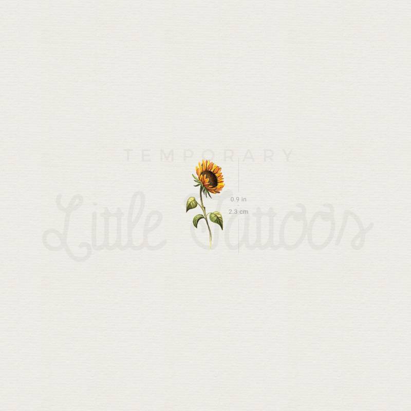 Kleine Aquarell Sonnenblume Temporäres Tattoo | 3Er Set von littletattoos