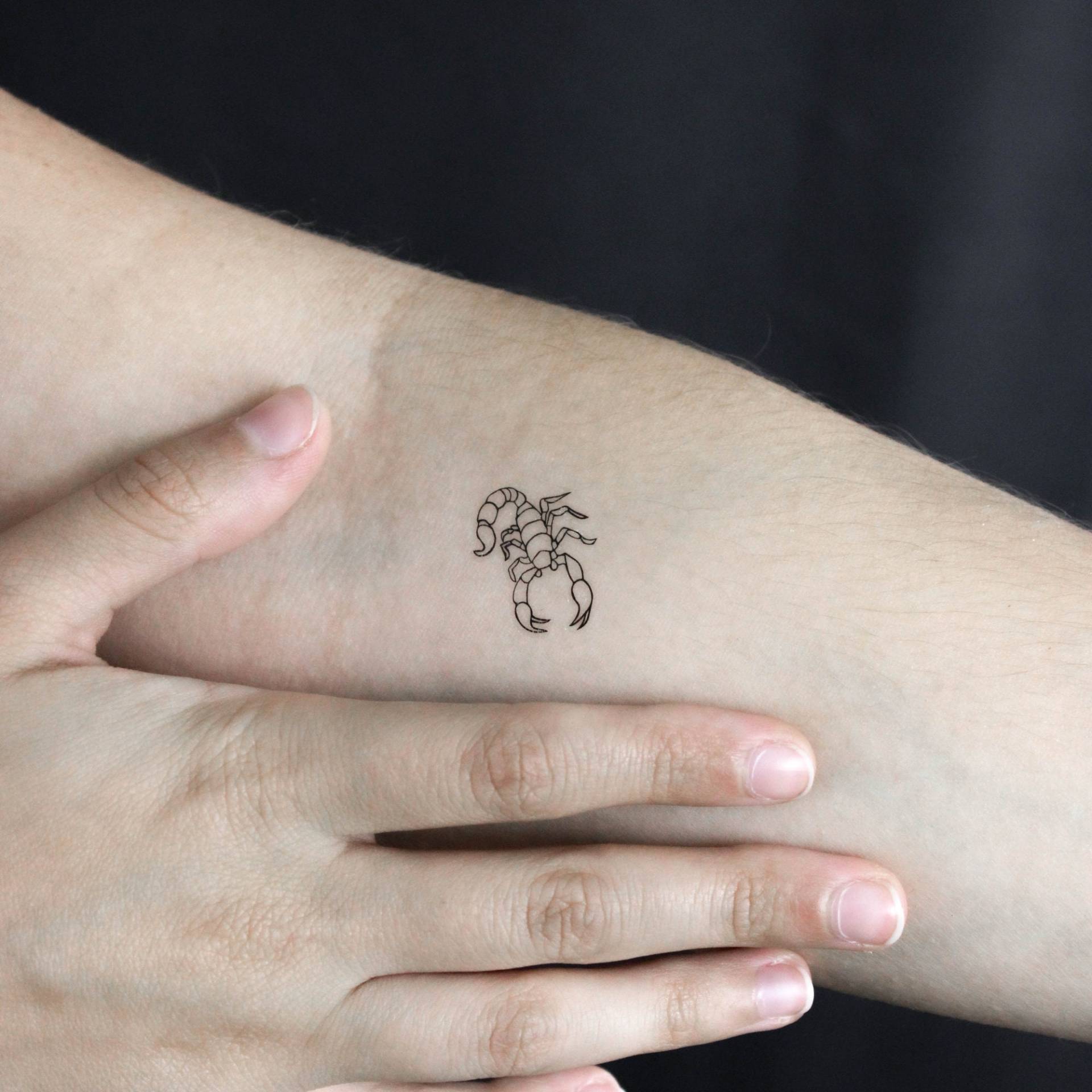 Kleiner Skorpion Temporäres Tattoo | 3Er Set Kleiner Skorpion Temporäres Tattoo | 3Er Set von littletattoos