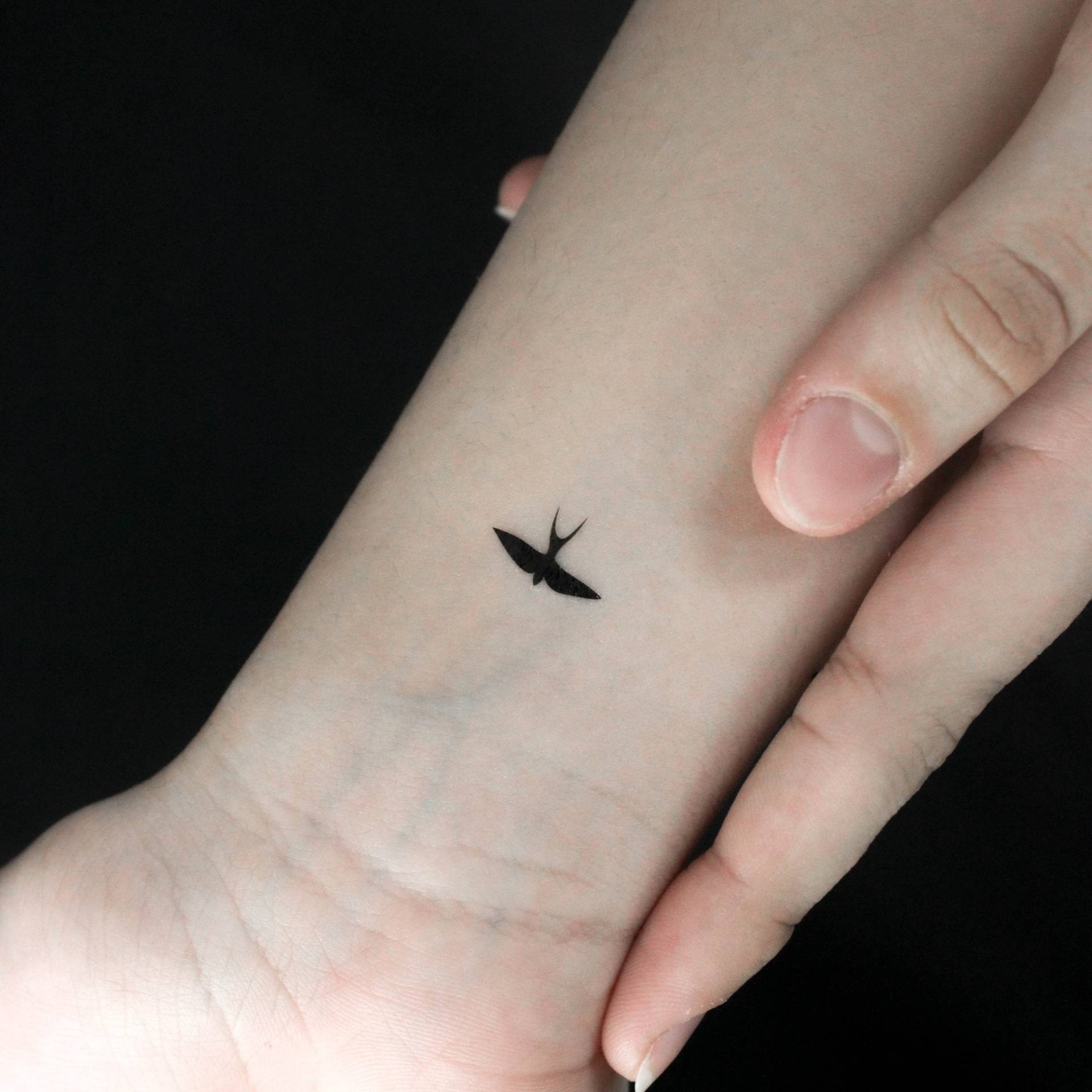 Rauchschwalbe Temporäres Tattoo | 3Er Set von littletattoos