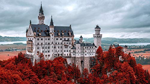 liyuhang diamantmalerei Kinder，5D Diamond Drawing 5D Diamantmalerei DIY 5d Diamant malerei Kits Diamond Painting 40x50cm Schloss Neuschwanstein von liyuhang