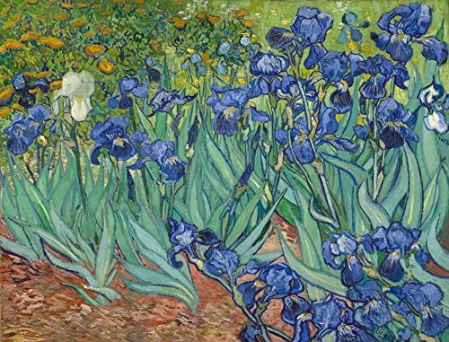 liziciti 5D Diamond Painting Kits 30,5 x 40,6 cm Vollbohrer Van Gogh Diamant Landschaft Malerei Wand Diamant Punkte Dekor DIY (Irises) von liziciti