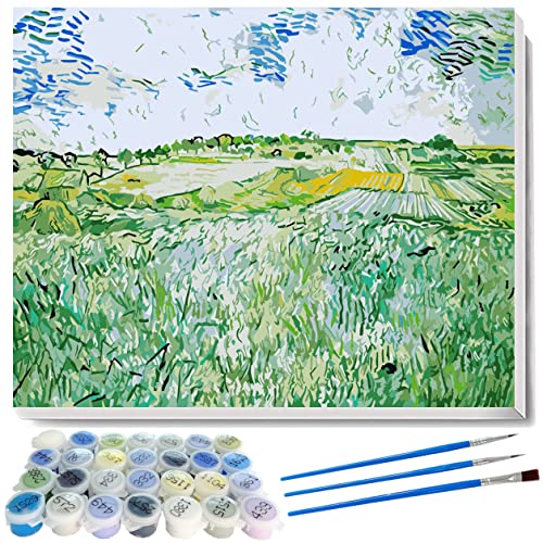 liziciti Malen nach Zahlen, Vincent Van Gogh Meisterwerk-Serie, Ölgemälde, Kunstwerke zum Selbermachen, für Erwachsene, Kinder, Anfänger, 40 x 50 cm, ungerahmt (Orvison Plains) von liziciti