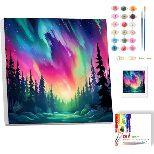 Aurora Malen Nach Zahlen Erwachsene Mit Rahmen-Landscape Malen Nach Zahlen Erwachsene Leinwand,Paint by Numbers Adult Mit Geschenkbox DIY Handgemalt Ülgemalde für Geschenk Home Wand Décor 20x20cm von luckyarina