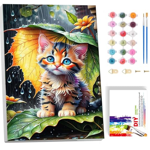 luckyarina Malen Nach Zahlen Kinder Mit Rahmen-Katze Malen Nach Zahlen Kinder Leinwand Ölgemälde,Tiere Paint by Numbers Mit Geschenkbox DIY ab 5 6 7 8 9 Jahre Mädchen Bastelset Geschenk 20x30cm luckyarina Malen Nach Zahlen Kinder Mit Rahmen-Katze Malen Nach Zahlen Kinder Leinwand Ölgemälde,Tiere Paint by Numbers Mit Geschenkbox DIY ab 5 6 7 8 9 Jahre Mädchen Bastelset Geschenk 20x30cm von luckyarina