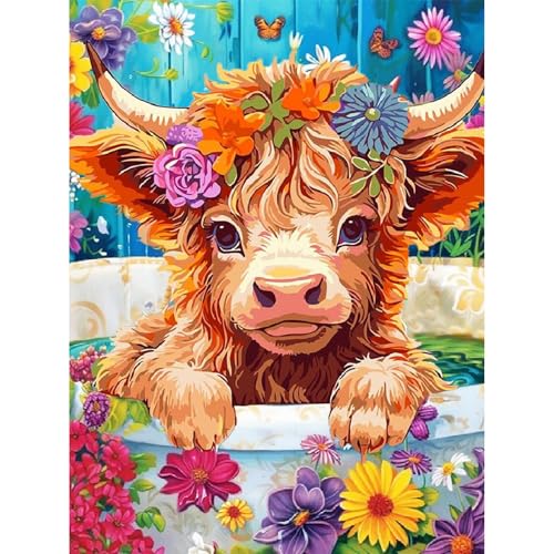 luckyarina Paint by Numbers Adult Hochlandkuh-Malen Nach Zahlen Kuh,Tiere DIY Ölmalerei Bastelset für Geschenke und Home Wand Dekor 30X40 CM von luckyarina