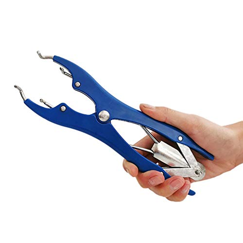 luckything Ballon Flare Zangen, Zangen Werkzeug Zangen Für Balloon Expansion Pliers Tool Für Home Aktivitäten Gewidmet Pailletten Konfetti Füllung Füllen Von Ballon-Pailletten, Ballon-Blütenblättern luckything Ballon Flare Zangen, Zangen Werkzeug Zangen Für Balloon Expansion Pliers Tool Für Home Aktivitäten Gewidmet Pailletten Konfetti Füllung Füllen Von Ballon-Pailletten, Ballon-Blütenblättern von luckything