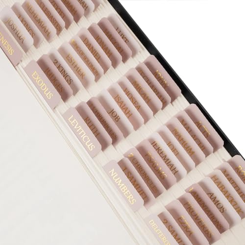 Lumintutu Laminierte Bibel-Tabs, Goldfolie, Großdruck-Schriftzug, 75 Register, Bibelstudium, Journaling-Zubehör, christliches Geschenk für Frauen und Männer, sie liest die Wahrheitsbibel (Rosa) von lumintutu