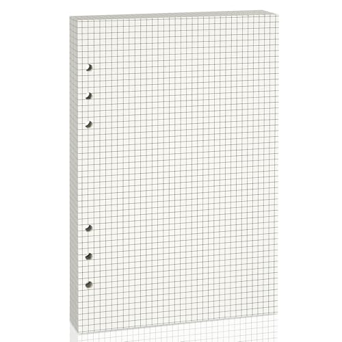 Nachfüllpapier für A5 6-Ringbuch-Notizbuch - Ideal für Büro, Schule, Zuhause, Kreative Projekte und Tagesplanung, 100 GSM, Kariert, 80 Blatt, passend für A5 6-Ring von luvtree