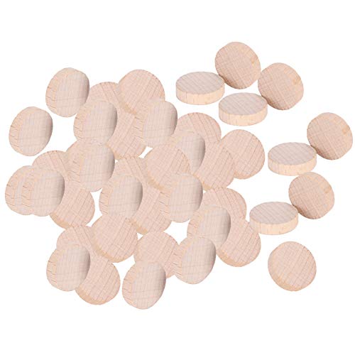 300 Pcs Unbehandelte Holzscheiben aus Buche, Buchenholz Scheiben natürliches Holz Handwerk Zubehör, für Schmuck Dekoration Graffiti mit Kindern rustikaler Charme (2cm) von lyrlody