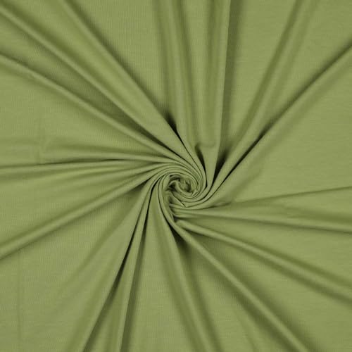 Jersey-Stoff Viskose (Bambus-Zellstoff) 0,5 x 1,45 m Bambus-Jersey Meterware Oeko-Tex-zertifiziert, Farbwahl, Farbe:019 - hellgrün von maDDma