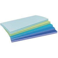 magnetoplan Moderationskarten Sea farbsortiert 20,0 x 10,0 cm, 250 St. magnetoplan Moderationskarten Sea farbsortiert 20,0 x 10,0 cm, 250 St. von magnetoplan