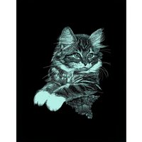 Kratzbild "Katze" von Schwarz