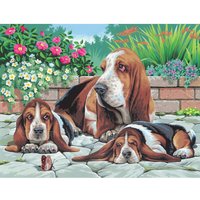 Malen nach Zahlen "Bassethunde" von Weiß