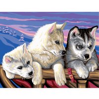 Malen nach Zahlen "Huskies" von Weiß