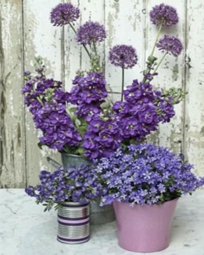 mantianhome Geschnitztes Kreuzstich-Set, lila Blume,bedrucktes Kreuzstich-Set für Anfänger, 11 CT, DIY, fortgeschrittenes handgefertigtes Stickset für die Heimdekoration,40X50CM mantianhome Geschnitztes Kreuzstich-Set, lila Blume,bedrucktes Kreuzstich-Set für Anfänger, 11 CT, DIY, fortgeschrittenes handgefertigtes Stickset für die Heimdekoration,40X50CM von mantianhome