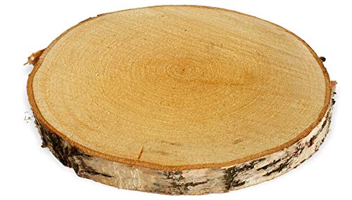 Große Holzscheibe zum Basteln oder Dekorieren - 1 Stück naturbelassene Baumscheibe aus Birkenholz mit 25 - 30 cm Durchmesser - runde Holz Birkenscheibe als Deko Holzplatte Holzdeko von matches21 HOME & HOBBY