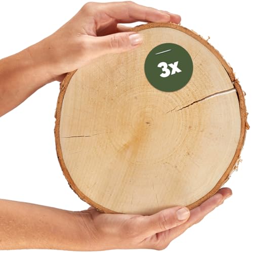 Große Holzscheiben in 20 cm (18-22cm) Durchmesser für DIY Basteln und Dekorieren - 3 Stück runde Birkenholz Baumscheiben - Naturbelassene Holz Birkenscheiben als Holzdeko Holzplatten von matches21 HOME & HOBBY