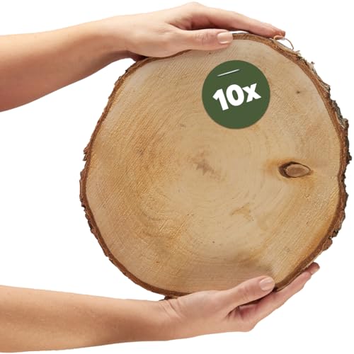 Große Holzscheiben in 30 cm (28-32cm) Durchmesser für DIY Basteln und Dekorieren - 10 Stück runde Birkenholz Baumscheiben - Naturbelassene Holz Birkenscheiben als Holzdeko Holzplatten von matches21 HOME & HOBBY