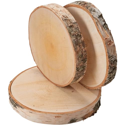 Große Holzscheiben zum Basteln oder Dekorieren - 3 Stück naturbelassene Baumscheiben ca. 20 cm (18-22 cm) Durchmesser aus Birkenholz - runde Holz Birkenscheiben als Holzdeko Holzplatten von matches21 HOME & HOBBY