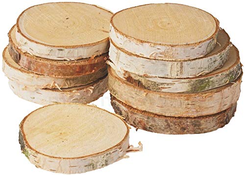 Kleine Holzscheiben zum Dekorieren und Basteln - 10er Set naturbelassene Baumscheiben mit 10cm - 12cm Durchmesser aus Birkenholz - runde Mini Holz Birkenscheiben als Holzdeko Holzplatten von matches21 HOME & HOBBY