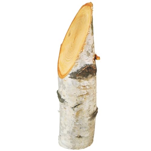 Natürlicher Birkenholzstamm schräger Schnitt - rustikaler Deko-Baumstamm aus Birke Echtholz für DIY-Bastelprojekte, Tischdeko, Adventsgestecke & kreative Ideen - Holzstamm Ø 40-60 mm x 150 mm Natürlicher Birkenholzstamm schräger Schnitt - rustikaler Deko-Baumstamm aus Birke Echtholz für DIY-Bastelprojekte, Tischdeko, Adventsgestecke & kreative Ideen - Holzstamm Ø 40-60 mm x 150 mm von matches21 HOME & HOBBY