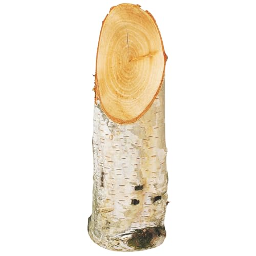 Natürlicher Birkenholzstamm schräger Schnitt - rustikaler Deko-Baumstamm aus Birke Echtholz für DIY-Bastelprojekte, Tischdeko, Adventsgestecke & kreative Ideen - Holzstamm Ø 60-90 mm x 250 mm Natürlicher Birkenholzstamm schräger Schnitt - rustikaler Deko-Baumstamm aus Birke Echtholz für DIY-Bastelprojekte, Tischdeko, Adventsgestecke & kreative Ideen - Holzstamm Ø 60-90 mm x 250 mm von matches21 HOME & HOBBY