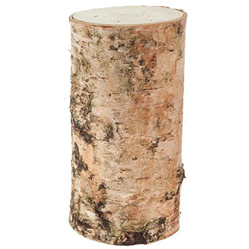matches21 Birkenstämmchen Baumstamm gerader Schnitt - Holzstamm Naturmaterial DIY Bastelmaterial - je 1 Stk. 5 x 10 cm matches21 Birkenstämmchen Baumstamm gerader Schnitt - Holzstamm Naturmaterial DIY Bastelmaterial - je 1 Stk. 5 x 10 cm von matches21 HOME & HOBBY