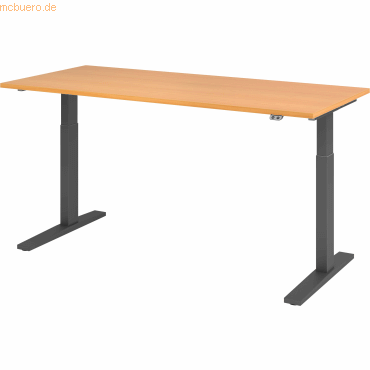 mcbuero.de Sitz-Steh-Schreibtisch elektrisch 180x80cm Buche/Graphit mcbuero.de Sitz-Steh-Schreibtisch elektrisch 180x80cm Buche/Graphit von mcbuero.de