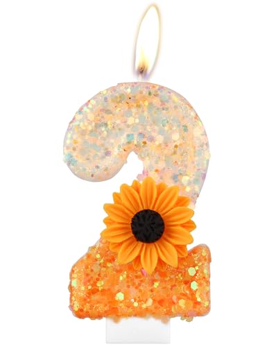 Orange Gänseblümchen Geburtstagskerzen, Orange Geburtstag Zahl 2 Kerzen für Geburtstagskuchen, niedliche Blume 2 Geburtstagskerze, Glitzer-Blumenkerze für Mädchen 2nd Geburtstag Party-Dekorationen Orange Gänseblümchen Geburtstagskerzen, Orange Geburtstag Zahl 2 Kerzen für Geburtstagskuchen, niedliche Blume 2 Geburtstagskerze, Glitzer-Blumenkerze für Mädchen 2nd Geburtstag Party-Dekorationen von mciskin